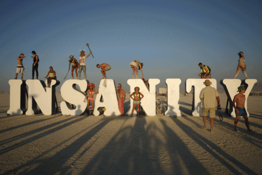 Image result for burning man