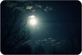 Happy National Poetry&nbsp;Day